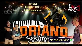 forro do monte bigode finin play back