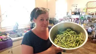 Chipotle Pickled Greens Beans- easy water bath canning recipe-Basic Pickling Brine