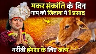 मकर संक्रांति के दिन गाय को खिलाया ये 1 प्रसादगरीबी हमेशा के लिए खत्म | learn with Dayanand 