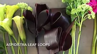 DIY flower adding Aspidistra leaves to your arrangements and bouquets