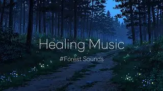 [고요한 숲길] 자연의 품에서 듣는 수면음악 🌲 Forest Path Sleep Sounds (2hours)