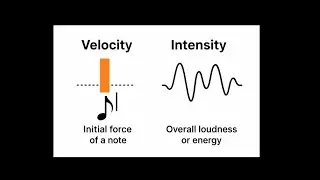 Intensity , Velocity | Relationship | Electronic music, Physics, Ableton Live