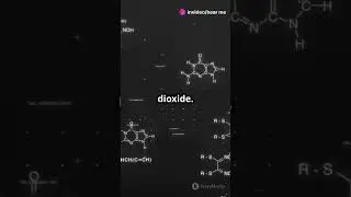 Polar vs Non-Polar Molecules in 30 Seconds