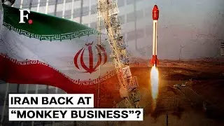 Iran Sends Animals to Space, Aiming to Fly Astronauts Soon