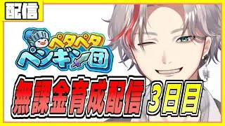 ペタペタペンギン団 無課金育成配信　３日目