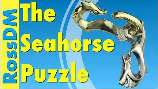 SOLVING THE SEAHORSE PUZZLE | Marine Puzzle Mini-Series Pt.3