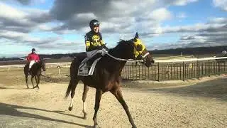 Mo Says & jockey Ricardo Chiappe won Wednesday&rsquo;s 7th race by open lengths