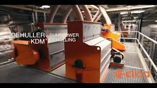 Complete dehulling sunflower seeds line for kernel production