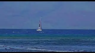 Hawaiian Humpback Whales Breaching Tail Slaps Blows | 2022 Season Highlights