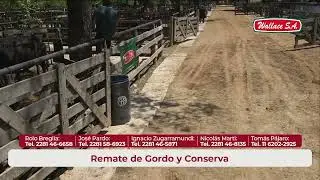 Remate Fin de Año - 17 de Diciembre 2025 - Wallace SA