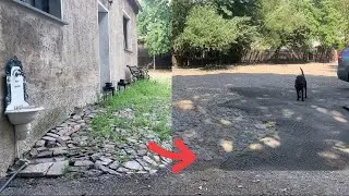 Beste/schnellste Methode um Unkraut zu entfernen /OCTO Wildkrautbürste