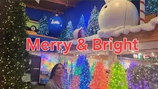 Winter wonderland, Christmas trees, ornaments.