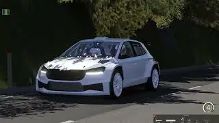 Fabia RS Rally 2 | Buzetski Dani