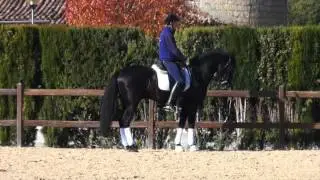 Ebano BRH Dec 2015 SM