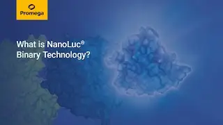 What is NanoLuc&reg; Binary Technology? What is NanoBiT&reg;?