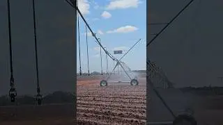 30 ha Senter 360 centre pivot irrigating potatoes in Botswana #senter360 #irrigation