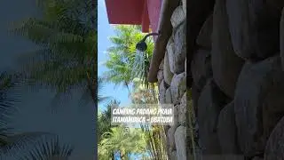 camping Padang Praia Itamambuca! amamos #camping #viagemmoto #barraca #ubatuba #acampamento #praia