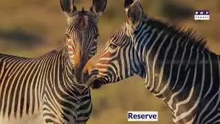 15 Best Places To Visit In DR Congo🇨🇩