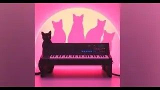 “Streaming Life”, song, Vistas remaster