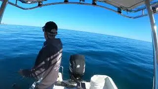 HOW TO CATCH HERRING THE EASY WAY