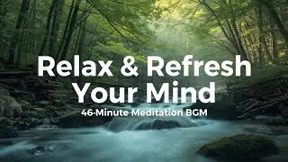 Relaxing Nature BGM | Refresh Your Mind & Mental Clarity