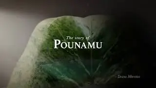 Moko Pounamu - The Greenstone Story