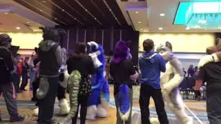 MWFF 2015 Fursuit Games