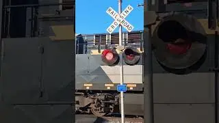 CSX Intermodal with #1869 CSX- Chesapeake And Ohio Heritage unit #csx #heritageunit #train #railfan