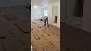 LVP Flooring Installation | Clean, Durable & Professional Work