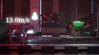 Black Panther II robot dog from MirrorMe&rsquo;s hits a peak speed of 13.4 m/s.