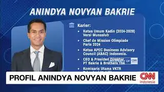Profil Anindya Novyan Bakrie