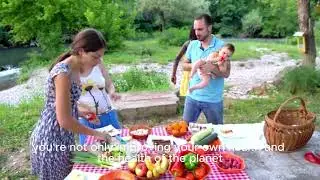 From Seed to Plate  The Benefits of Local and Sustainable Eating