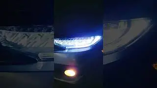 Full sequential, full LED #civic #honda #10thgen #car #sequential #led #shorts