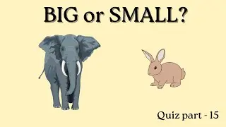 Math Comparison Quiz for Kids | Big or Small | Tall or Short | More or Less? Bigger or Smaller?#quiz