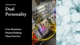 【Dual Personality】Cross Modulation - Modular Synth, West Coast Synthesis