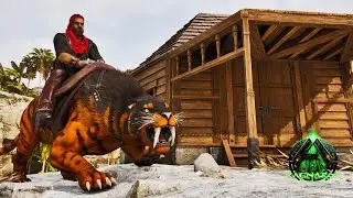 I Tamed a Max Level SaberTooth!! - Ark Ascended Ragnarok