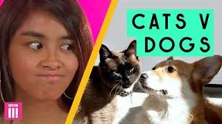 Cat People Vs Dog People: Who Wins?