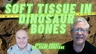 Soft Tissue in Dinosaur bones (Dr. Mark Armitage)