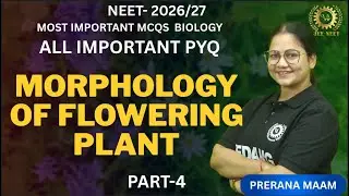 Morphology of Flowering Plants Part 4 | Class 11 Biology NEET 2025 | NCERT Complete Explanation
