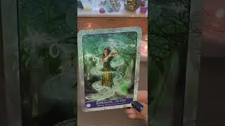 🐉Dragon Protection