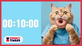 10 Minute Funny Cats Countdown Timer with Music | Lofi Hip Hop Soundtrack