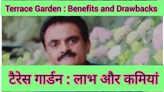 Terrace Garden : Benefits and Drawbacks, टैरेस गार्डन : लाभ और कमियां, Problems with solutions