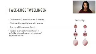 eeneiige en twee eiige tweelingen