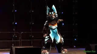 MFF 2017 - Dance Competition - Raze