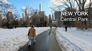 NYC Central Park After Snowfall ❄️ Frozen Lake, Skiing & Winter Fun | 4K 60fps