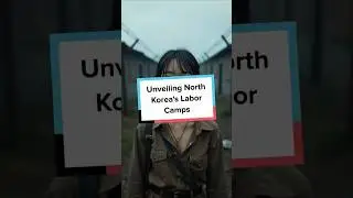 Unveiling North Korea's Labor Camps