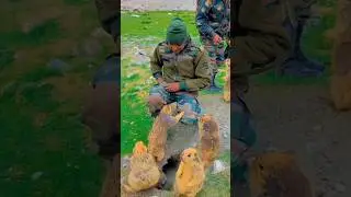 Indian Army with Himalayan Marmots in Leh-Ladakh Region