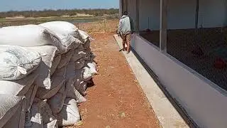 preparando o galp&atilde;o para a chegada da pintainha (in&iacute;cio de um sonho)