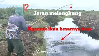 Unbelievable⁉️Spots Like This Have Lots of Big Fish, Boss