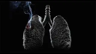 This Anti-Smoking Ad Gives You An Insight Of How Smoking Harms Your Body